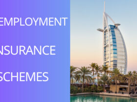 UAE Introduces New 2 Unemployment Insurance Schemes