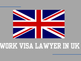 The Role of Work Visa Lawyers in the UK